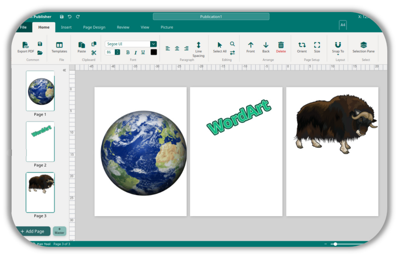 Multi-Page View