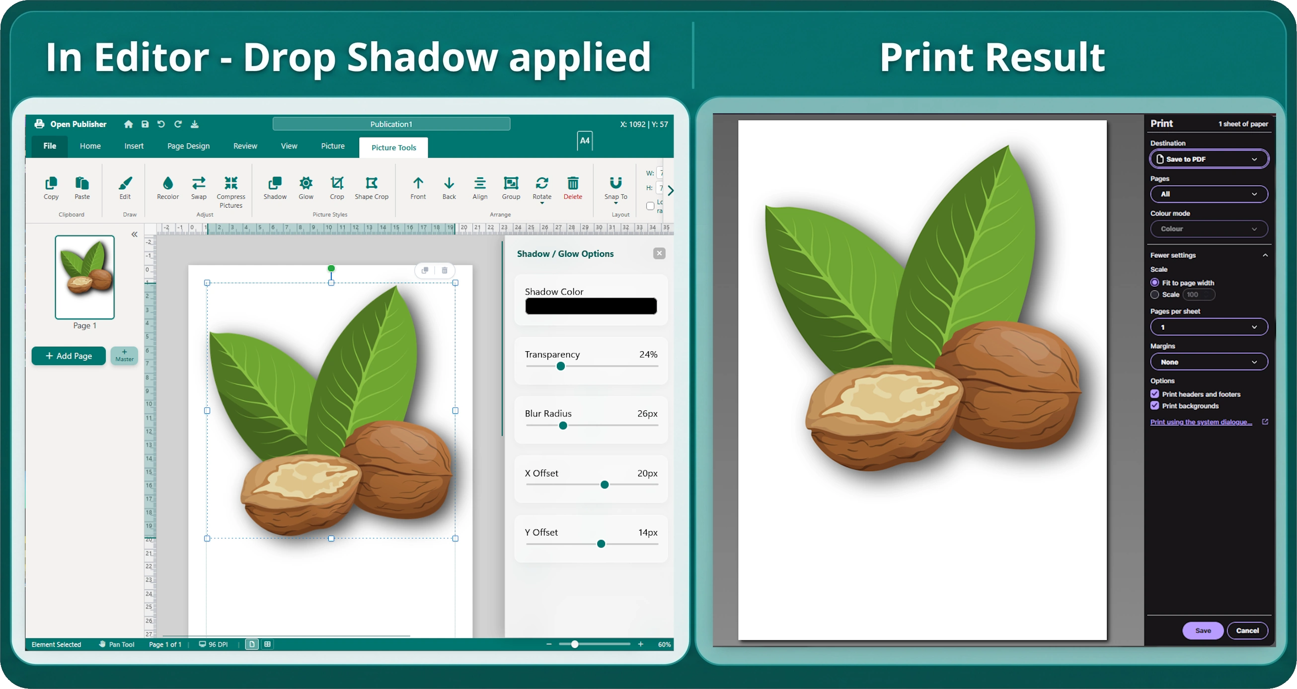 Picture Tools Glow & Drop Shadow Print Preview Comparison 